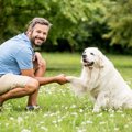 犬がマウンティング…