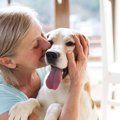 クセになる♡つい愛犬…