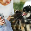 犬との生活から学ぶ…