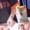 お母さんに甘えたい…