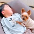 犬が男の子に秘密に…