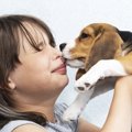 犬がぺろぺろと『人…