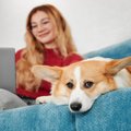 愛犬の『幸福度』を…