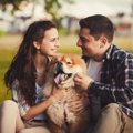 犬は人間の性別を見…