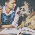 犬の本おすすめラン…