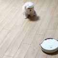 ロボット掃除機が苦…