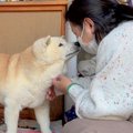 手術をした母と『1週…