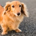 楽しむためにマナー…