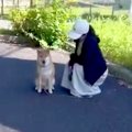家では犬に吠えられ…