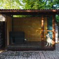 犬を『外飼いしては…
