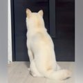 パパが仕事に行って…