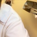 体調不良でトイレに…