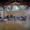 ペットと宿や温泉を…