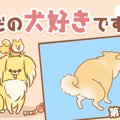 ただの犬好きです。…