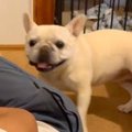 笑撃の展開！大切な…