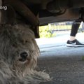 「いいよ、つかまえ…