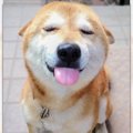 「とろけちゃいそう♡…