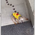 もうすぐ20歳！一生…