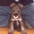 14年前にお迎えした…