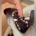 仰向けで口を開けて…