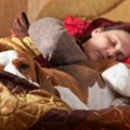 犬が添い寝をしてく…