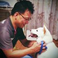 柴犬が突然凶暴化し…