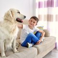犬が好きな3つの場所…