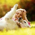 犬の歴史と人との関…