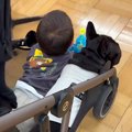 赤ちゃんを乗せてベ…