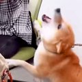 職場で『おはようご…