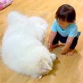 子どもが超至近距離…