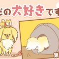ただの犬好きです。…