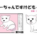 ちーちゃんですけど…