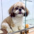 １歳直前になるまで…