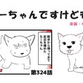 ちーちゃんですけど…