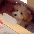 値下げされ、売れ残…