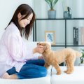 犬にとって絶対NGな…