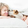 犬が飼い主を『起こ…