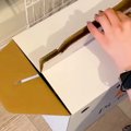 子犬を飼った初日→家…