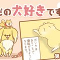 ただの犬好きです。…