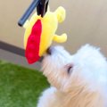 大好きなおもちゃを…