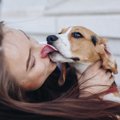 犬が飼い主にキスし…