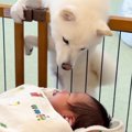 生まれて初めて『赤…