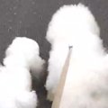 大親友になった『近…