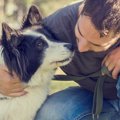 犬が常に考えている…