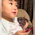 男の子が『ママに叱…