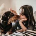犬との口づけにはリ…