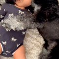 朝、赤ちゃんの隣で…