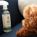 愛犬を菌から安全に…