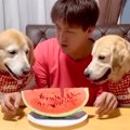 スイカを目の前にし…